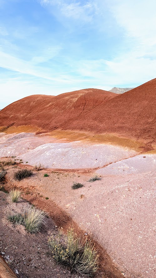 Guide to Visiting the Painted Hills - visiting the Painted Cove trail area gives you up close look at the colors of the soil making up the Painted Hills