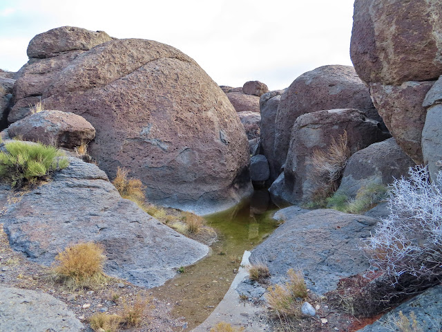 Large pool