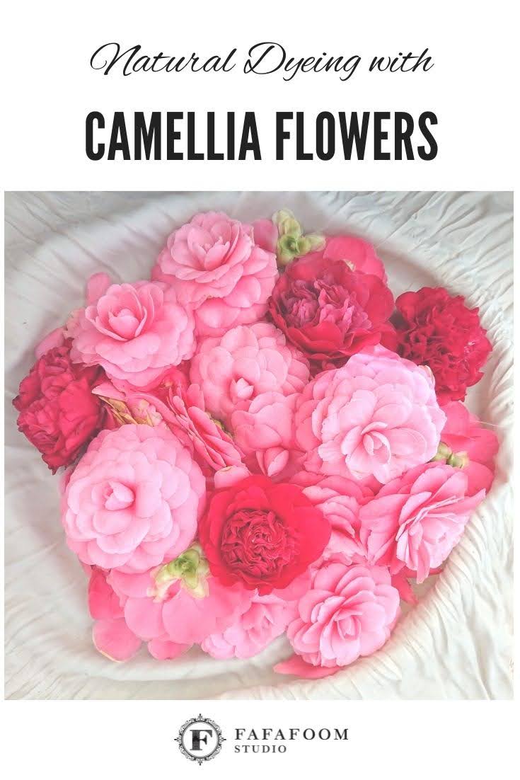 Natural Dyeing with Camellia Flowers - Reimagine | FAFAFOOM STUDIO