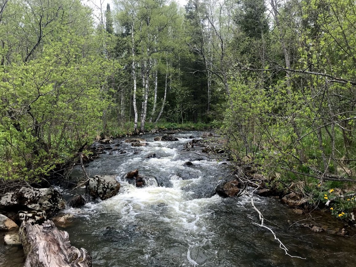 Impetuous river through the Ural forest zyuratkul 