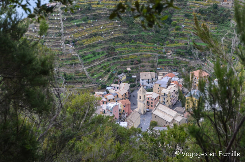 Manarola