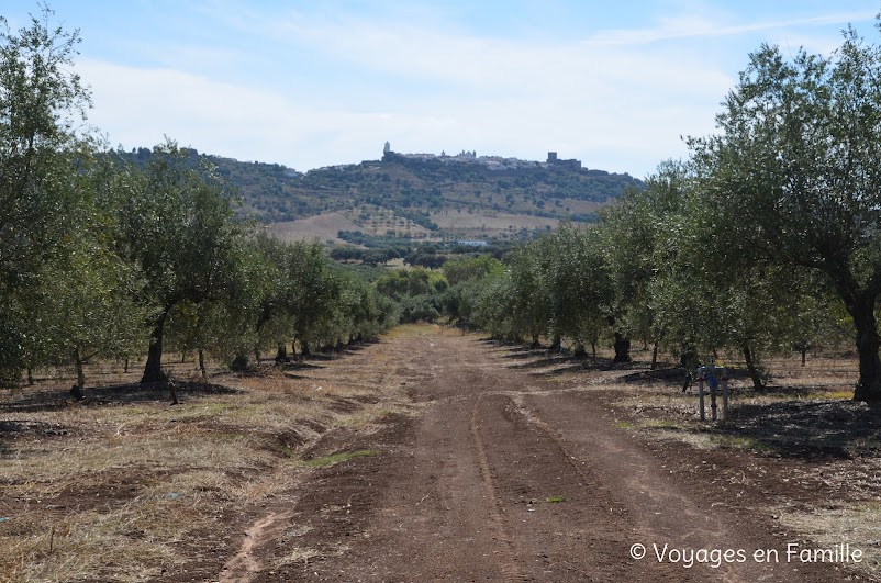 Monsaraz, Escritas de pedra e cal - 