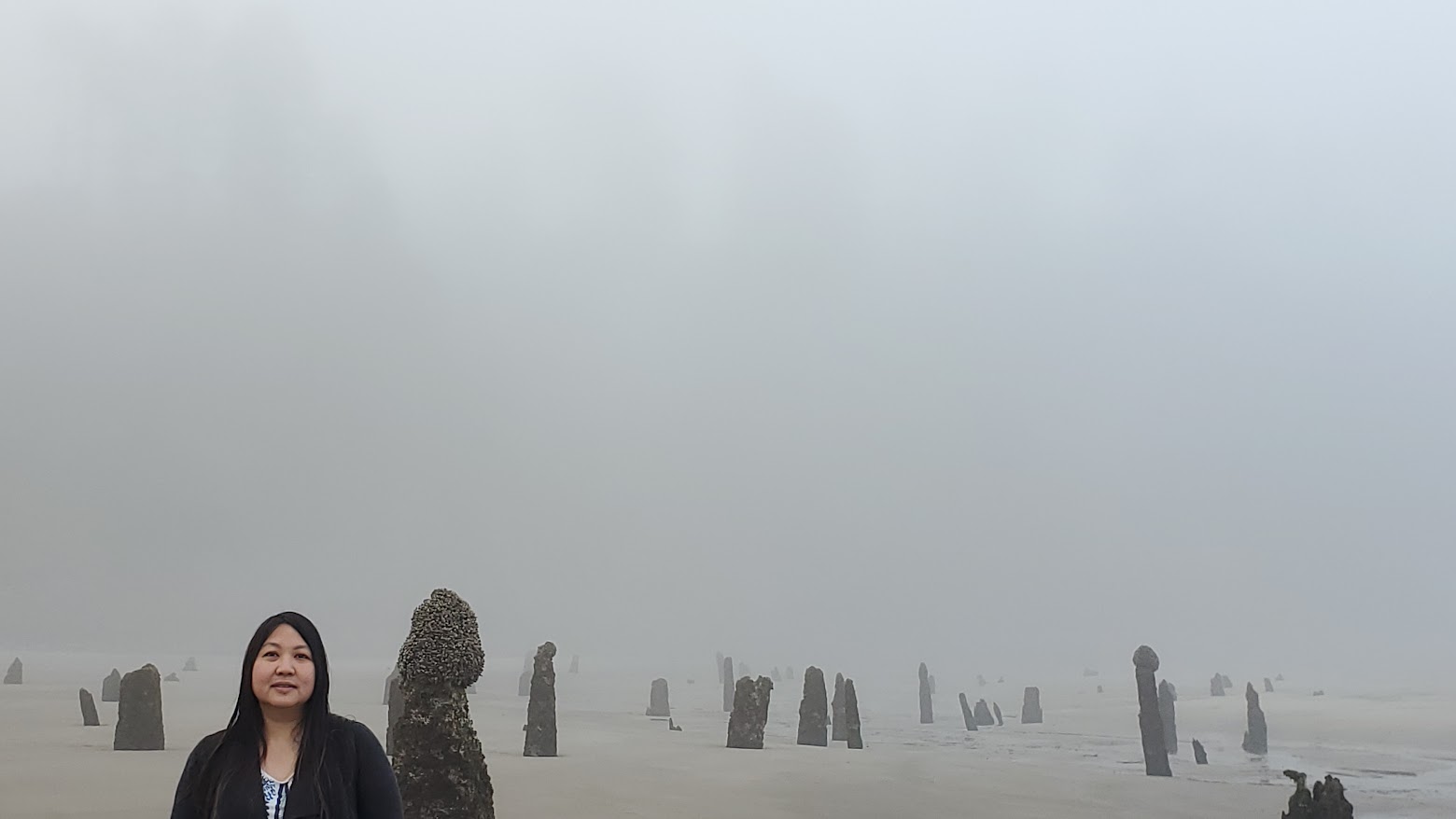 Neskowin Ghost Forest on a foggy morning at Neskowin Beach