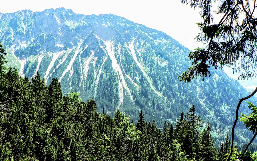 Niedereck Oberstdorf