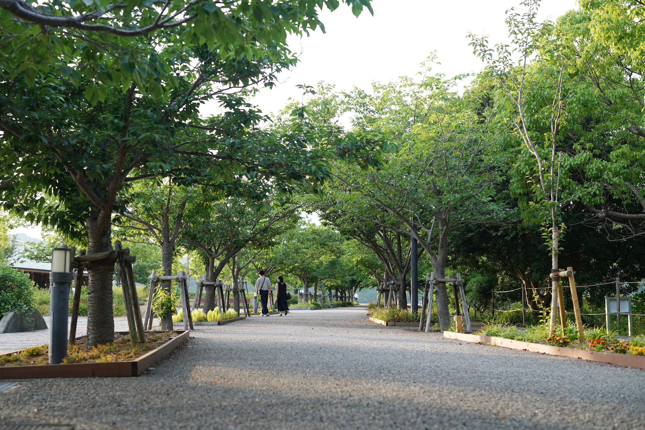 徳島 海辺の広大な芝生が心地いい 鳴門ウチノ海総合公園 Tokushima The Vast Lawn By The Seaside Is Comfortable Naruto Uchinoumi General Park 物語を届けるしごと