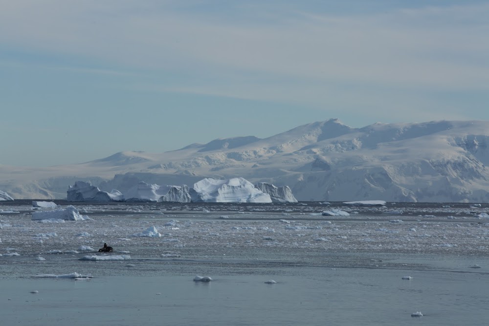 Круиз Антарктида, Южная Георгия, Фолкленды Март 2022г.