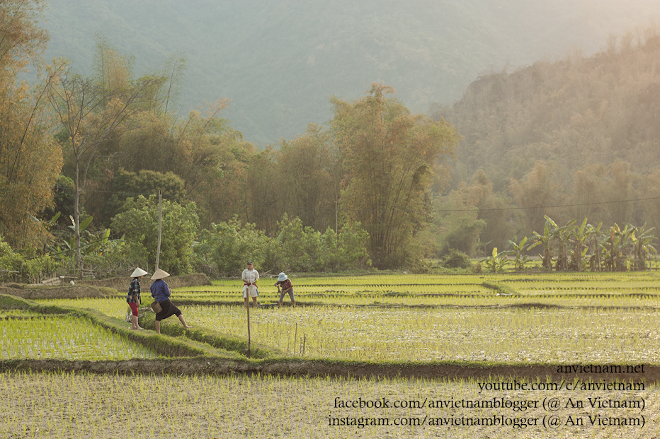 Mai Châu có gì đẹp? Chơi gì ở Hòa Bình?