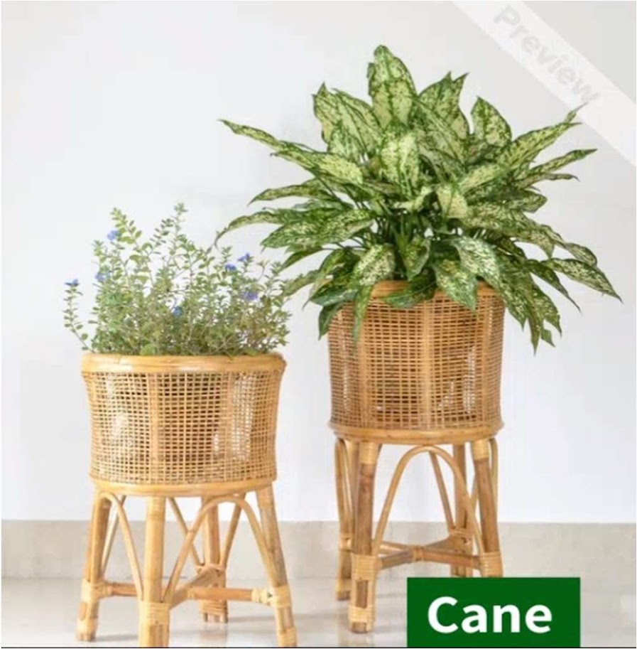 Cane Planter