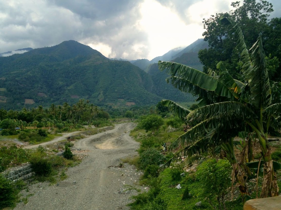 mountains of central sulawesi 