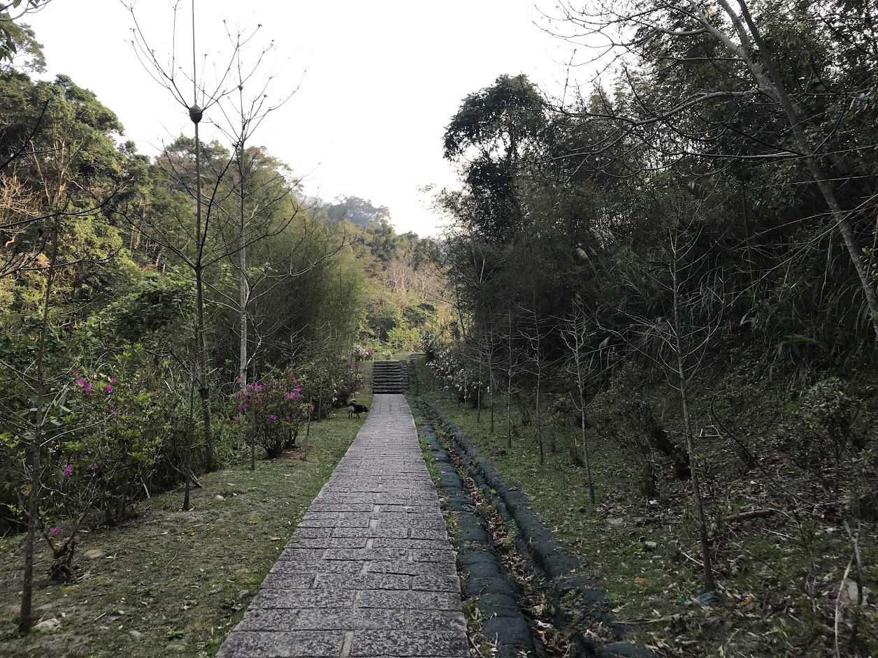 ［苗栗南庄］四十二份湧泉自然生態步道~一個簡單的小園區，可以