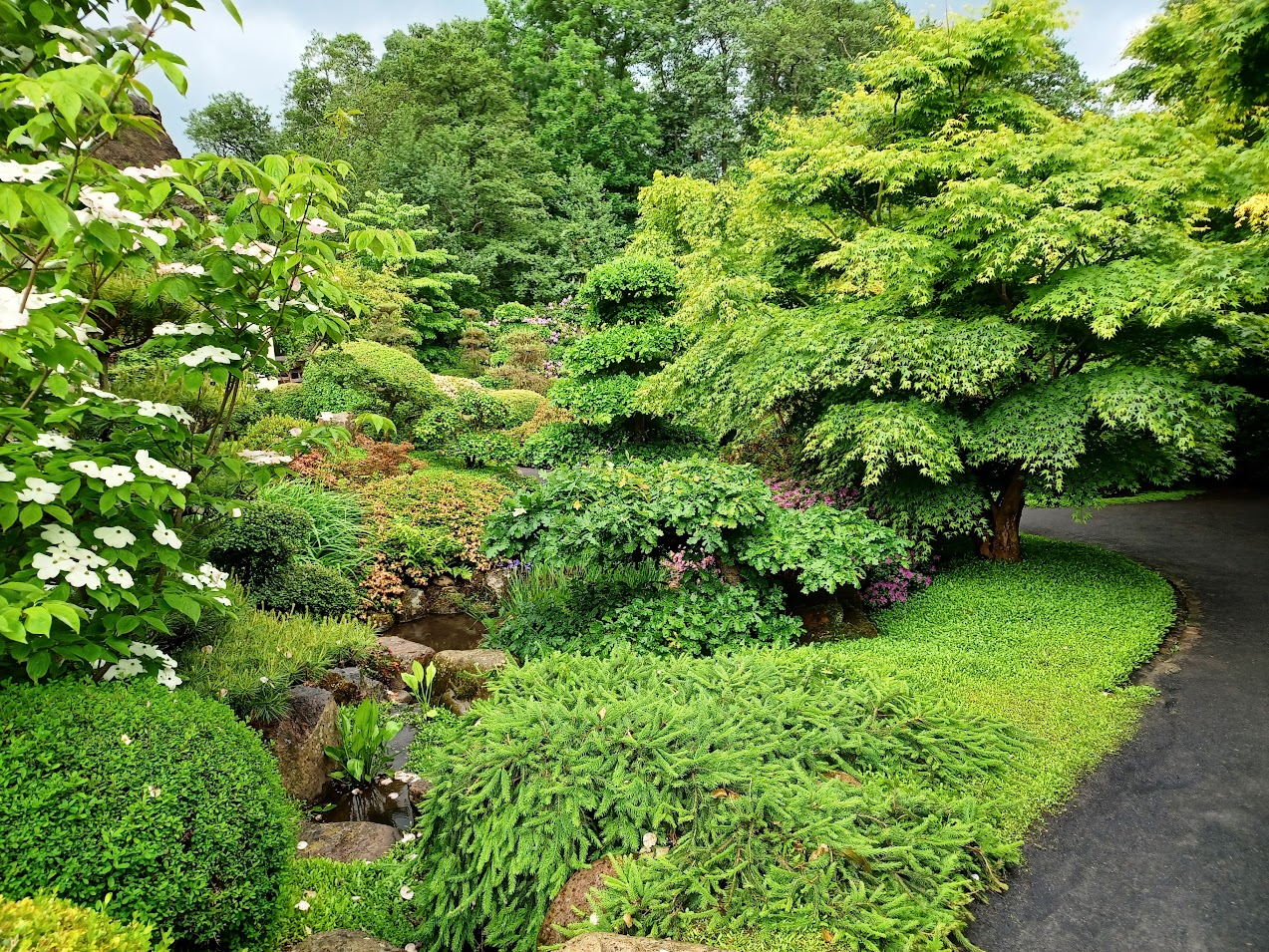 Dines Bog - De japanske Haver p Midtfyn