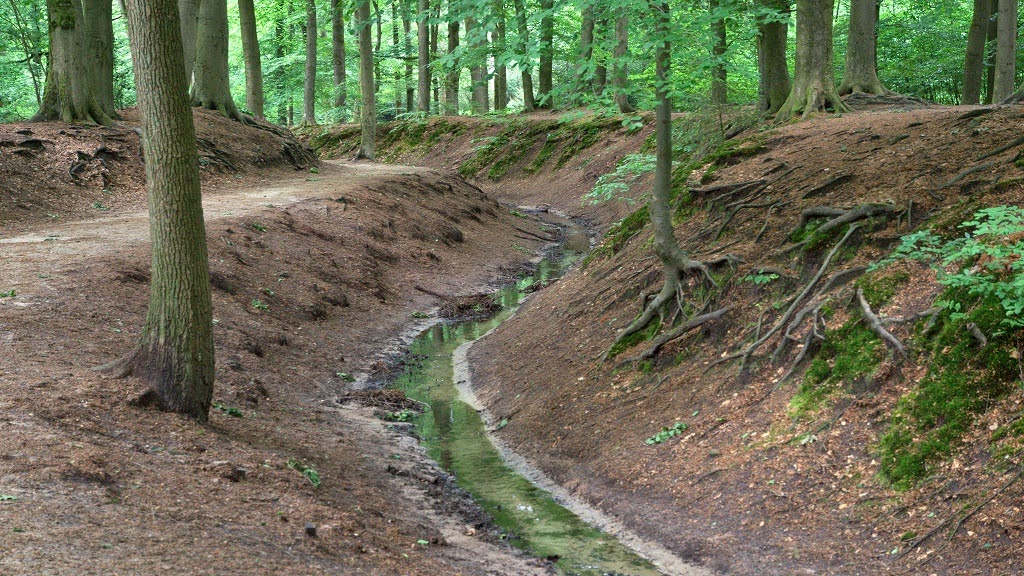 2. Zicht op Hoekelum en het Hoekelumse bos op 21 mei 2022