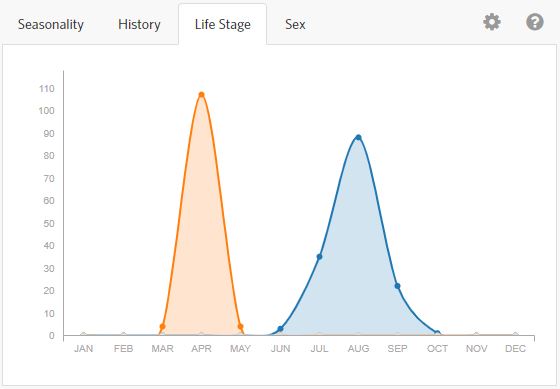 Pasture day moth life stage distribution