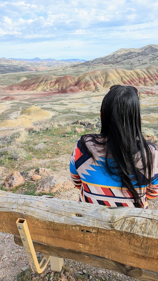 Guide to Visiting the Painted Hills - example view from The Carroll Rim Trail