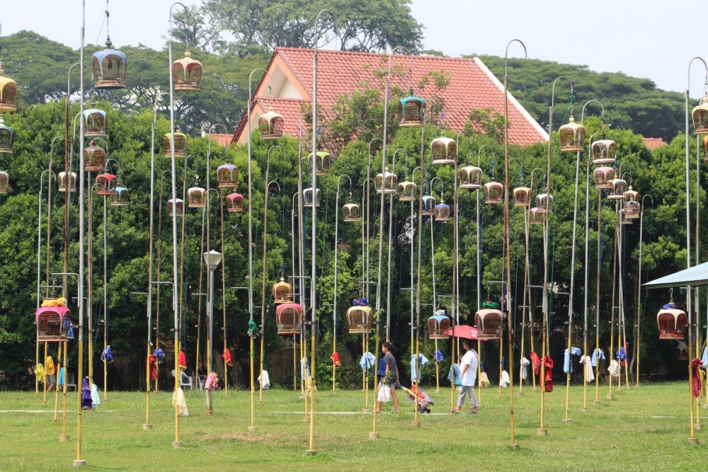 Kebun Baru, clube de pássaros canoros em Cingapura