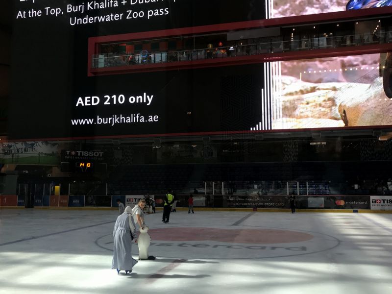 Dubai Mall Ice Rink