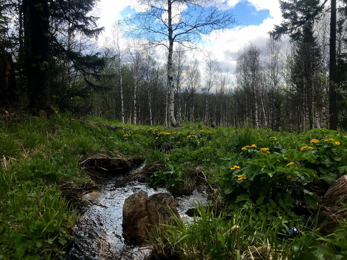 A beautiful spot for a lunch stop zyuratkul national park 