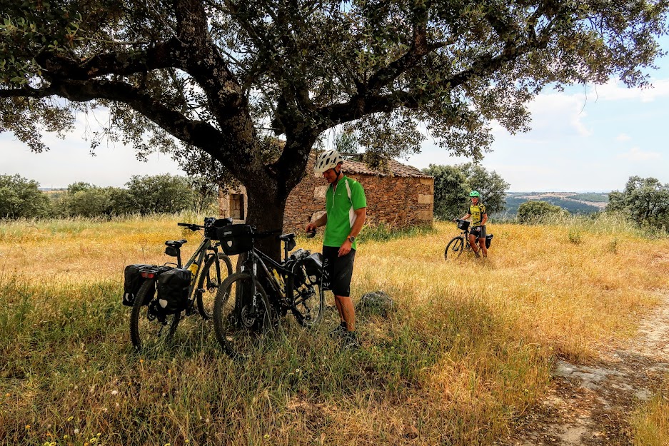 Two friends find shade under an old cork tree