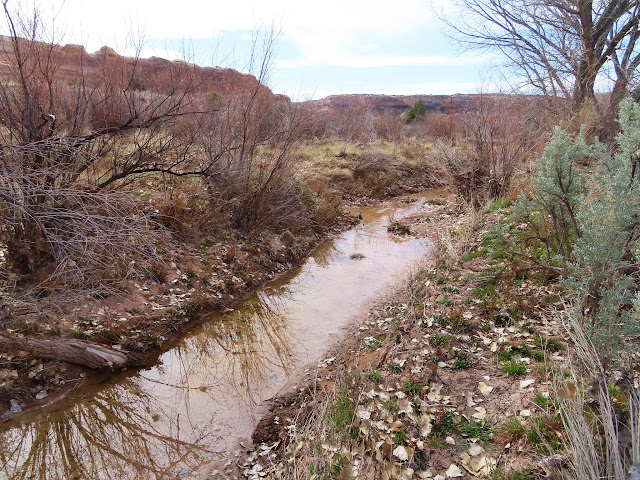 Cottonwood Wash (left) confluence with Salt Wash