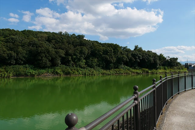 百舌鳥・古市古墳群