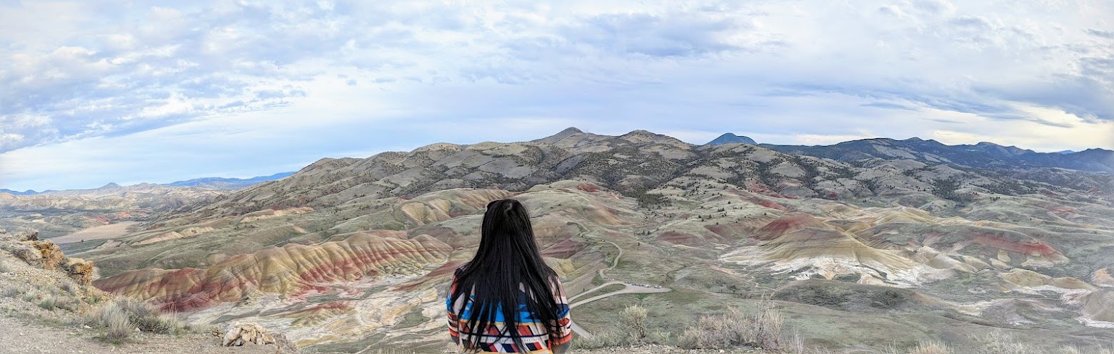 Guide to Visiting the Painted Hills - example view from The Carroll Rim Trail