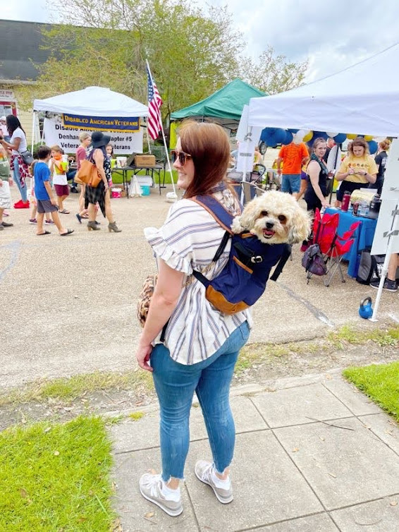 Teddy the dog in a K9 Sport Sack at the farmers market