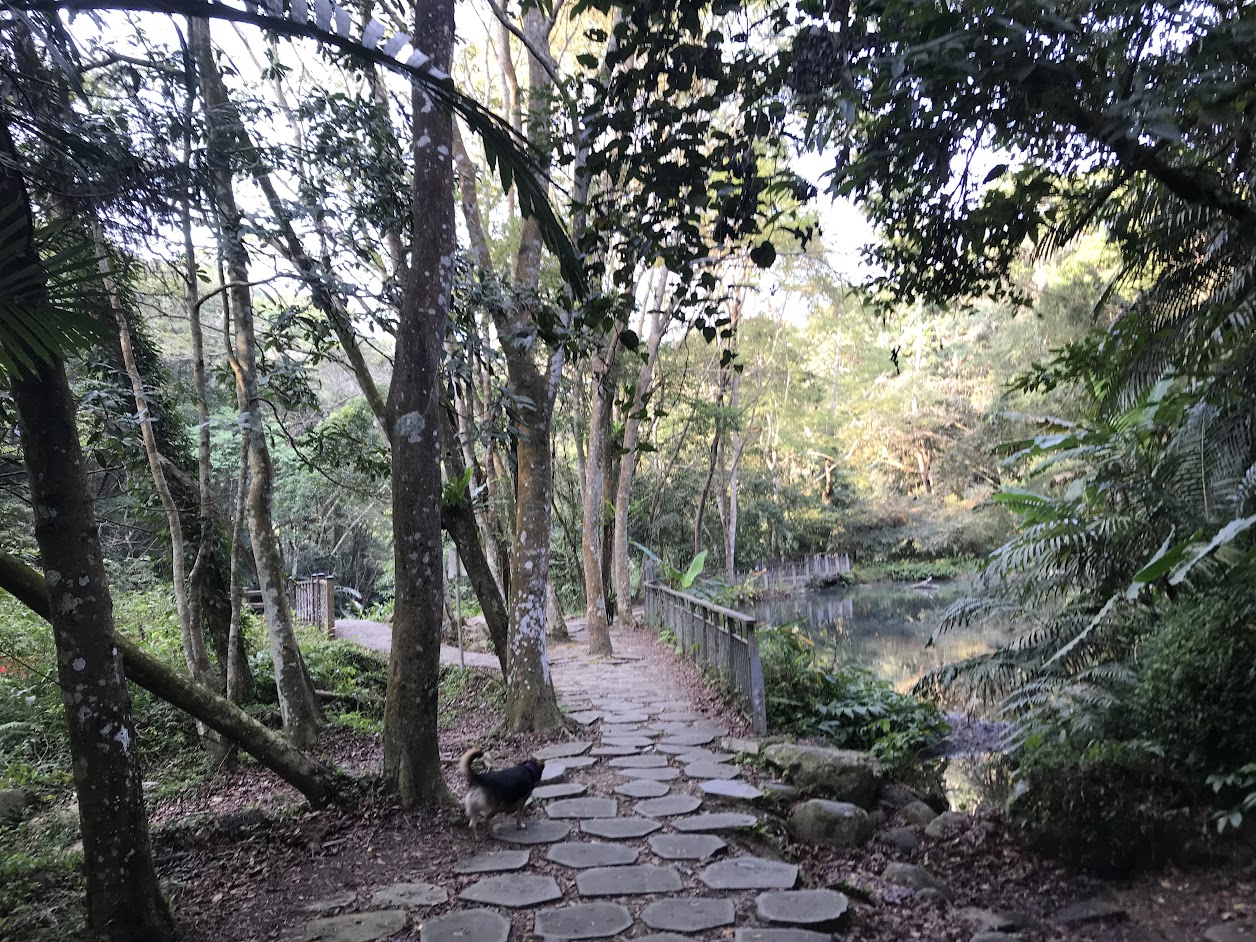 ［苗栗南庄］四十二份湧泉自然生態步道~一個簡單的小園區，可以