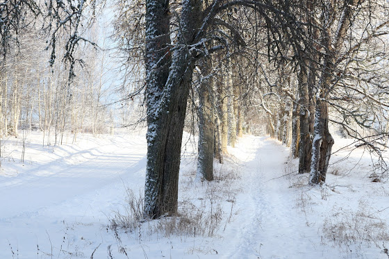 allee Elva lähedal