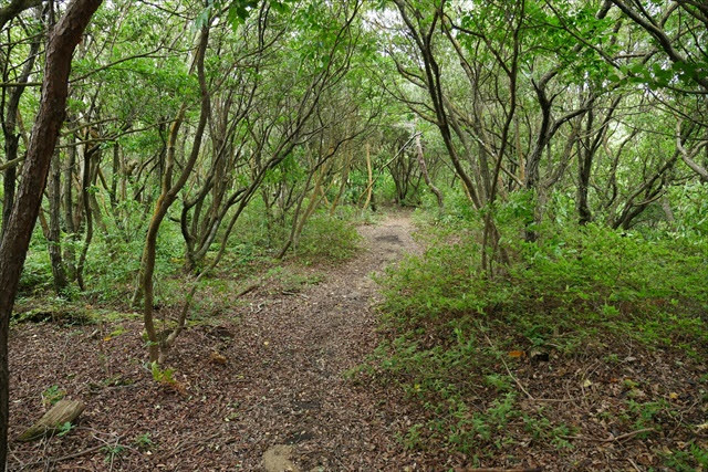 引田城跡