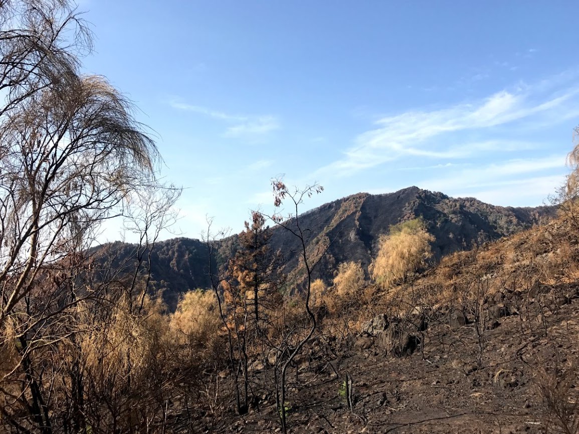 mount vesuvius volcano climb no fee