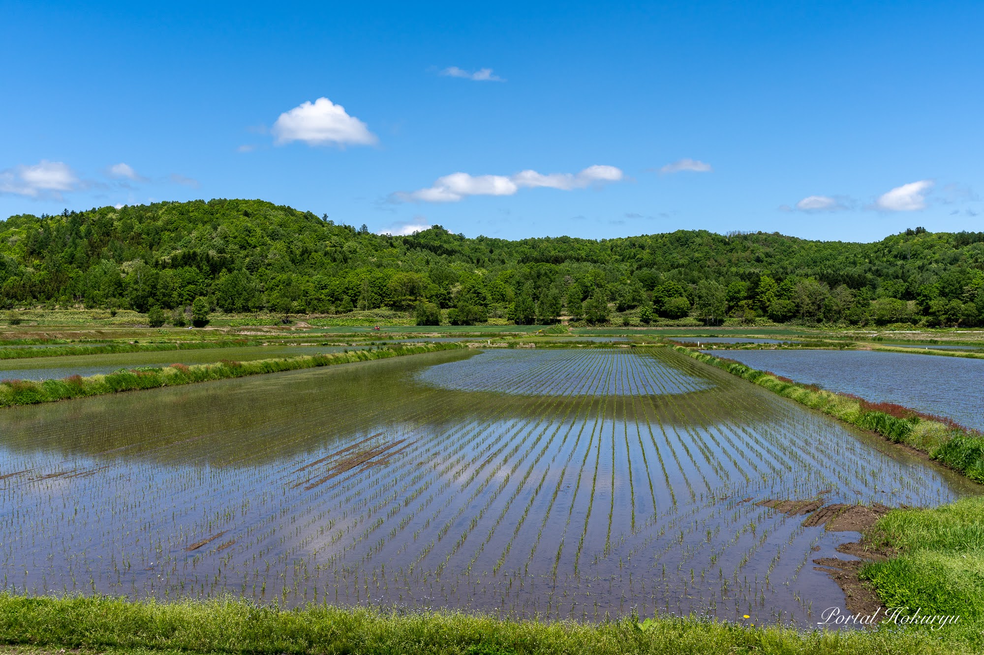 山々の新緑が眩しいほどに美しい風景 北竜町ポータル