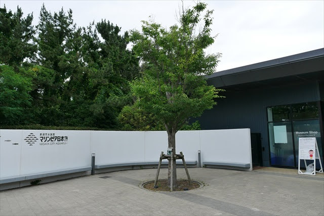 新潟市水族館 マリンピア日本海