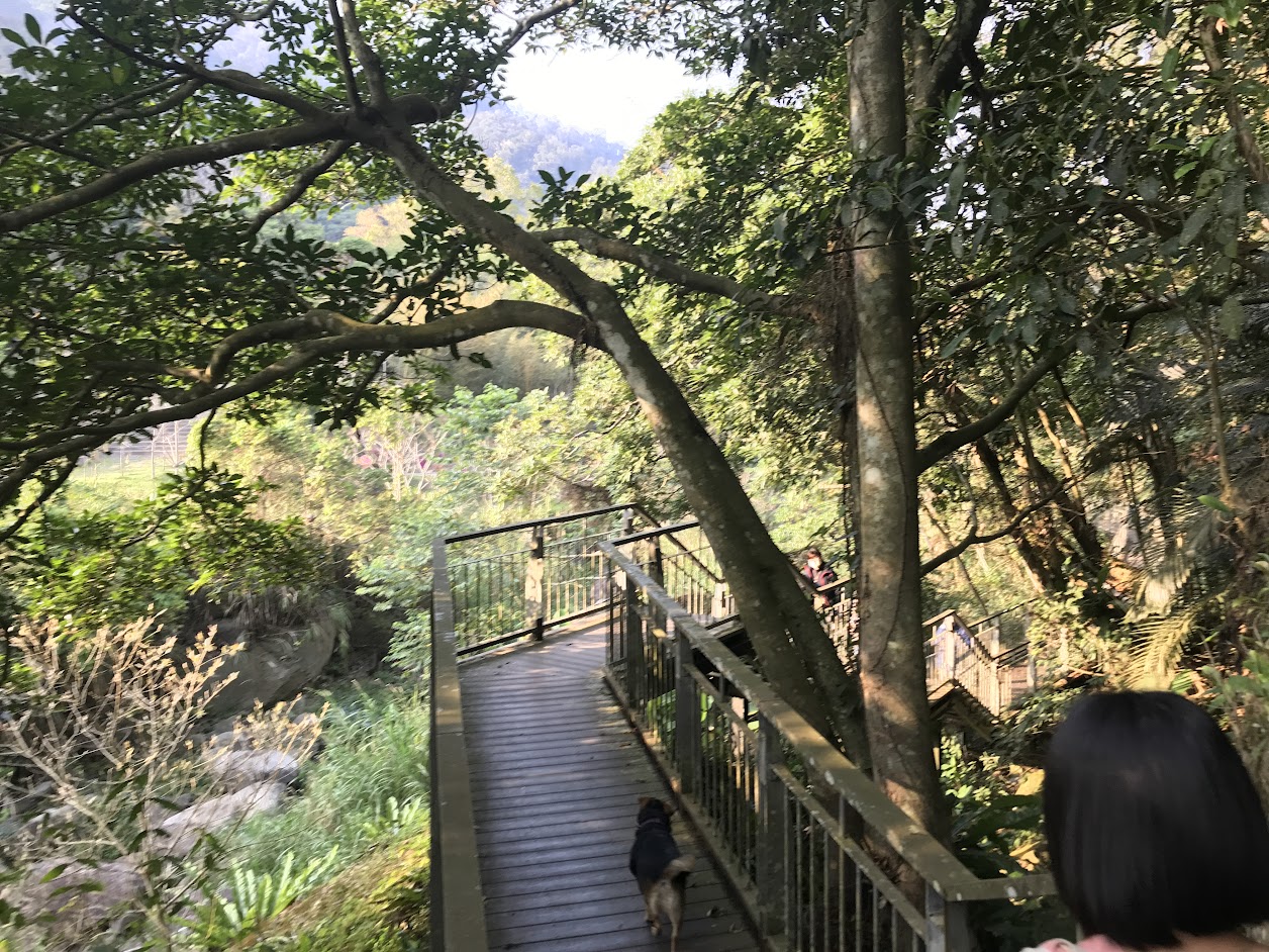 ［苗栗南庄］四十二份湧泉自然生態步道~一個簡單的小園區，可以