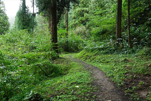 増山城跡