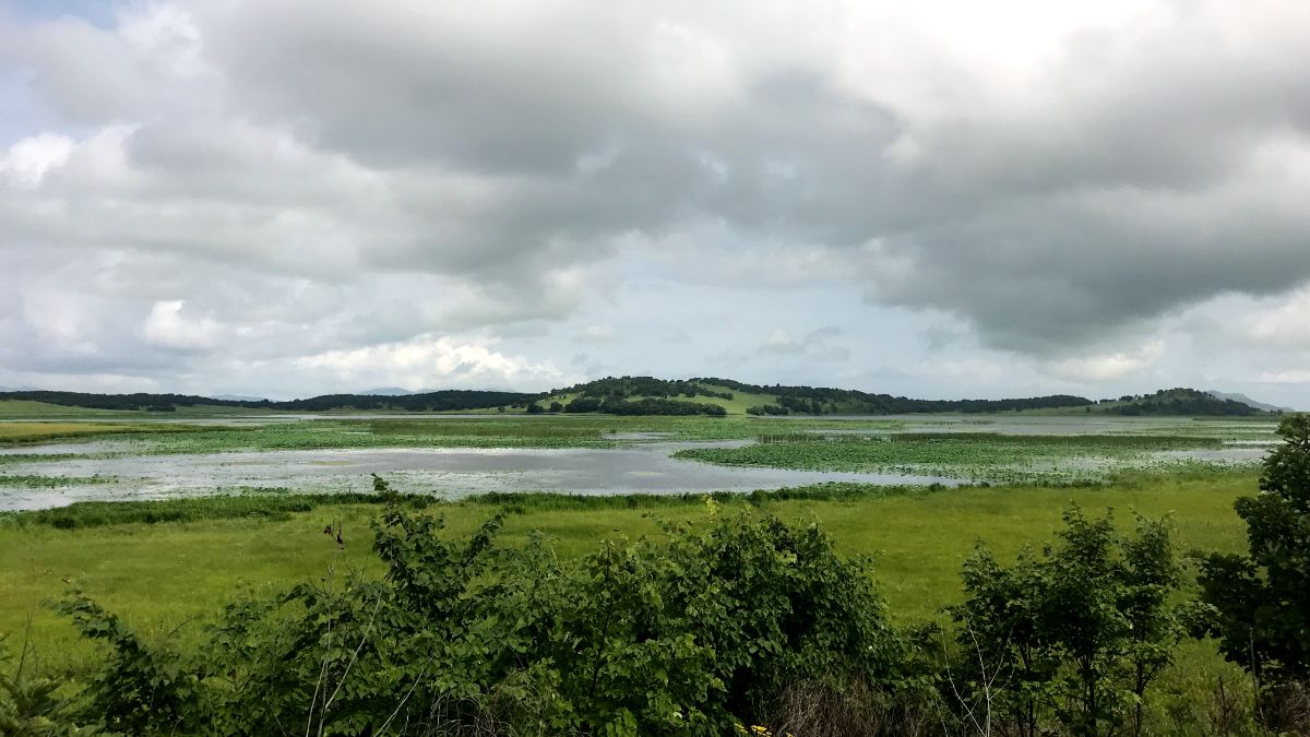 View of the Lotus Lake primorsky krai russia