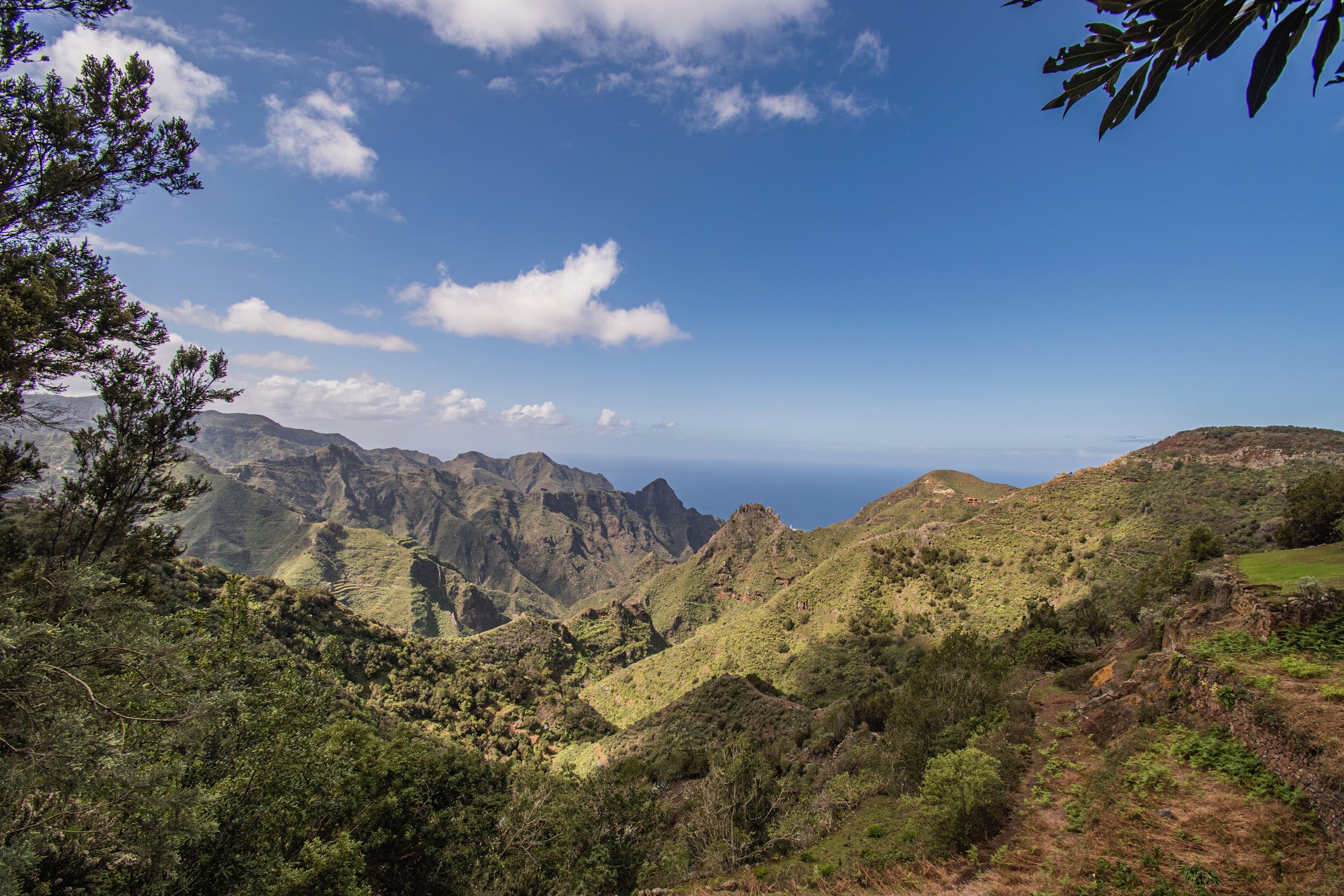 anaga-tenerife