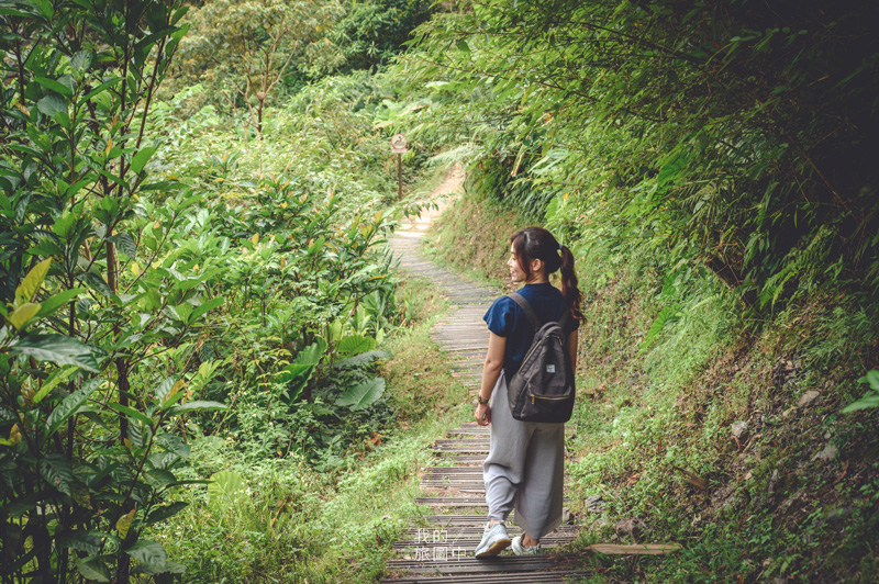 《新北坪林》金瓜寮魚蕨步道 依偎著清澈野溪的原始森林小徑、坪林秘境景點 @我的旅圖中 during my journey