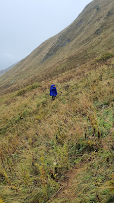 The rain came, and we lost the trail