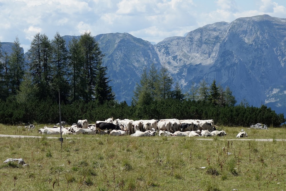 Земля Верхняя Австрия (Bundesland Oberösterreich)