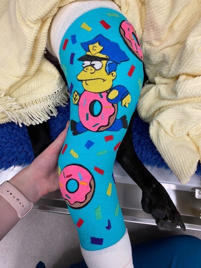 Bandage Art of chief wiggum, a simpson's character on a dressing on a dog's limb