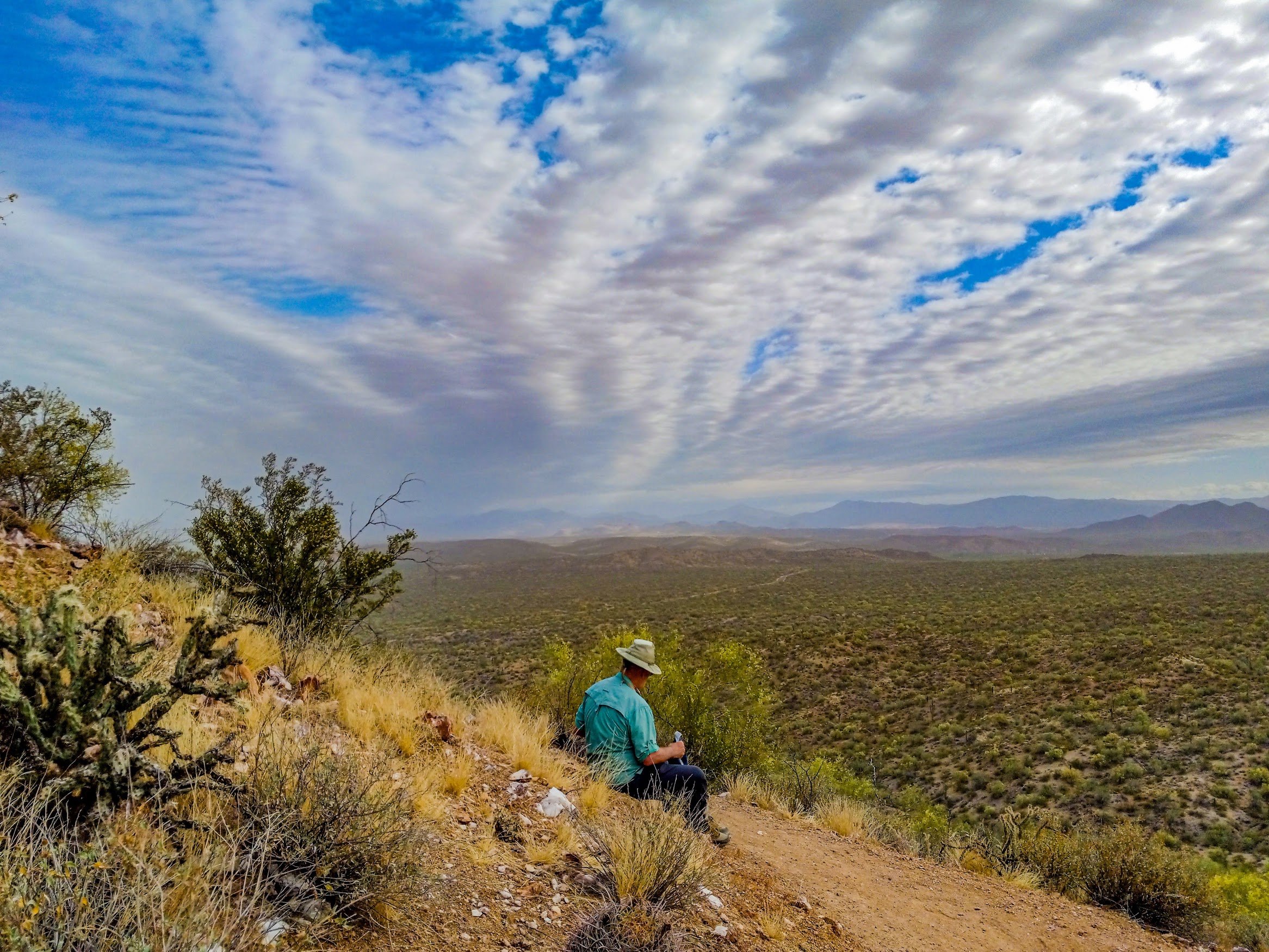 Pinnacle Trail