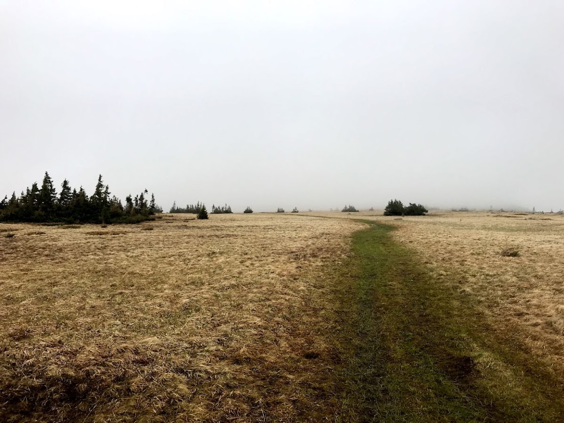 Bolshoy Nurgush plateau dipped in fog zyuratkul 