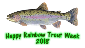 Happy Rainbow Trout Week!