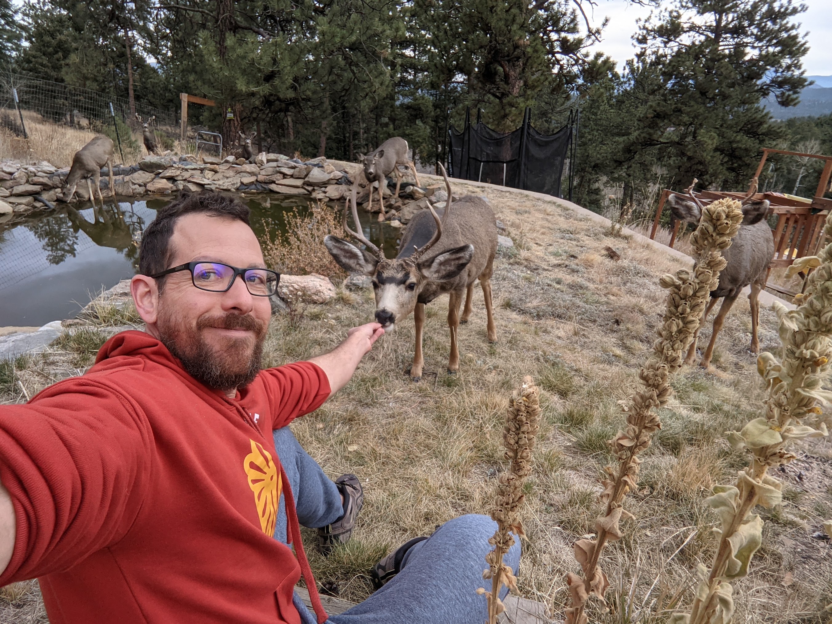 2021-11-01 Feeding a buck