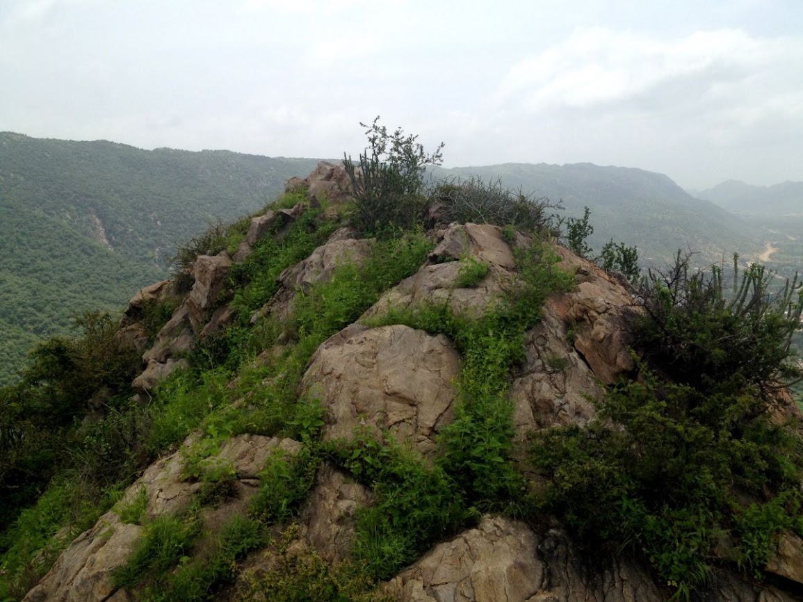 peak outside pushkar - hiking in pushkar