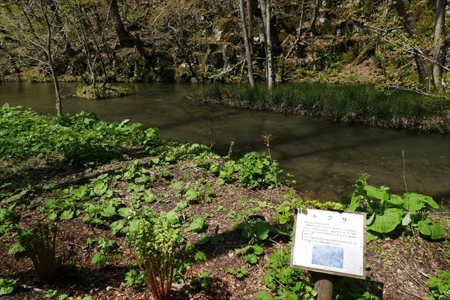 十和田湖および奥入瀬渓流