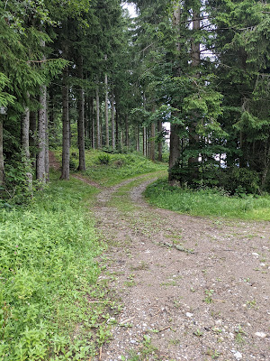 The start of the first trail