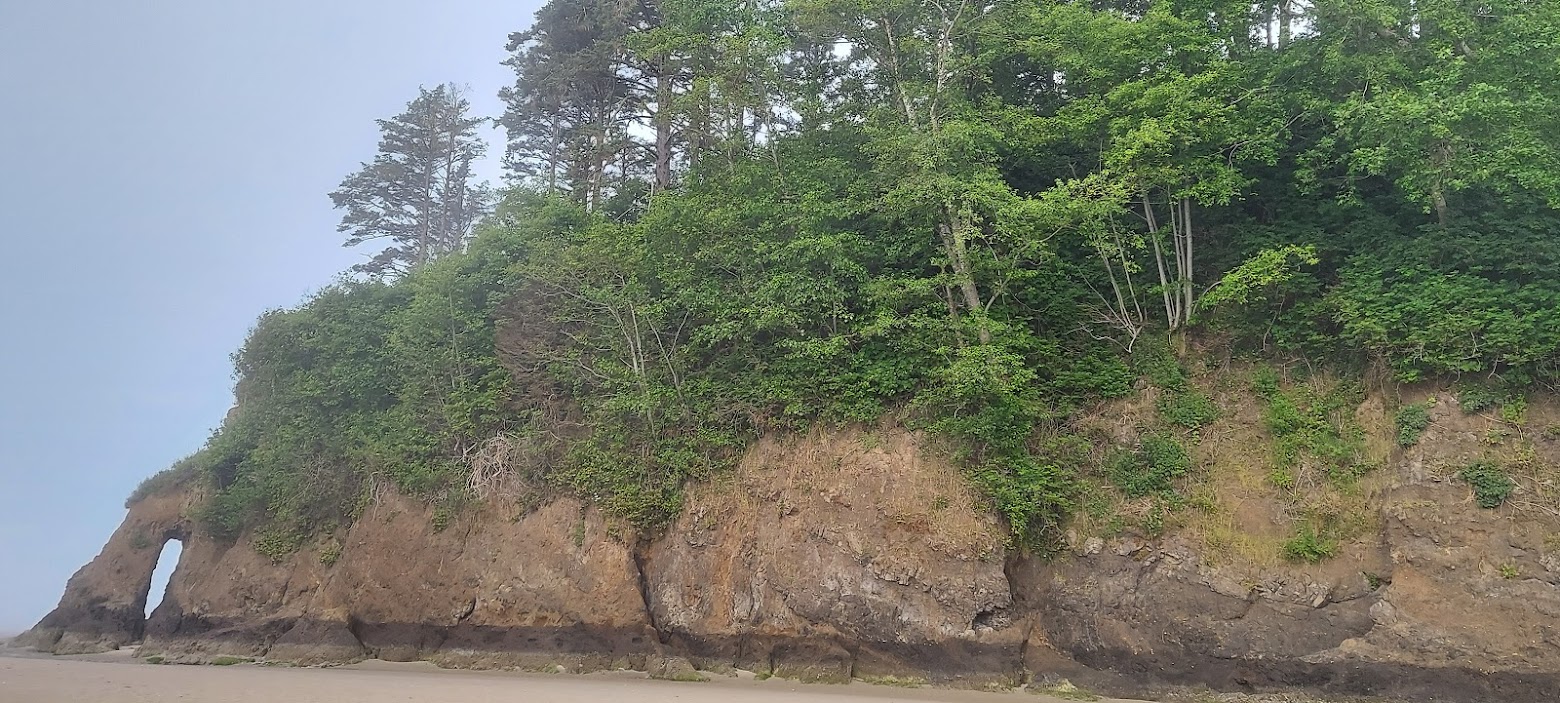 Proposal Rock in the early foggy morning at Neskowin Beach