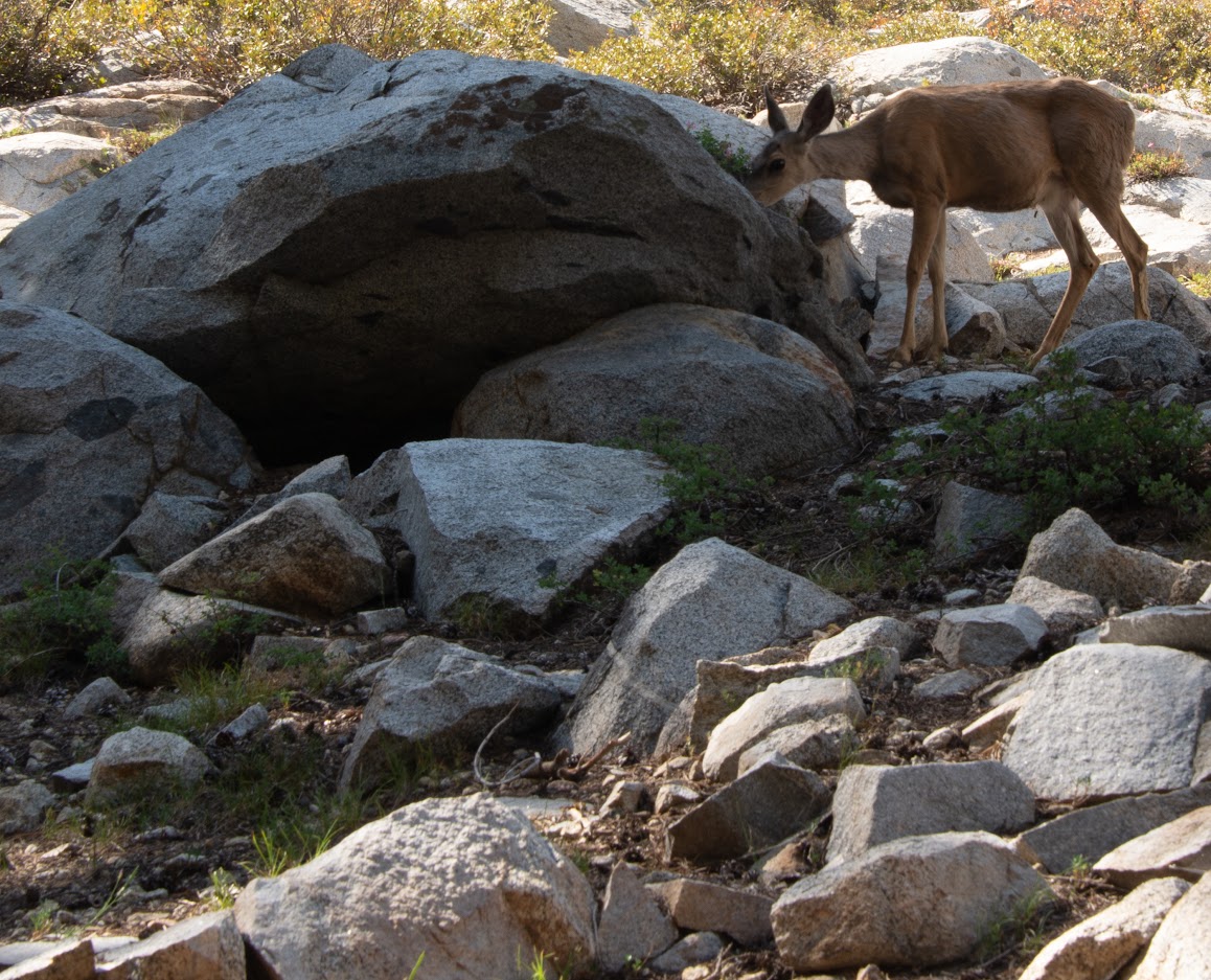 Калифорния как она есть: Paradise Valley, Kings Canyon + Eagle Lake Trail, Sequoia NP