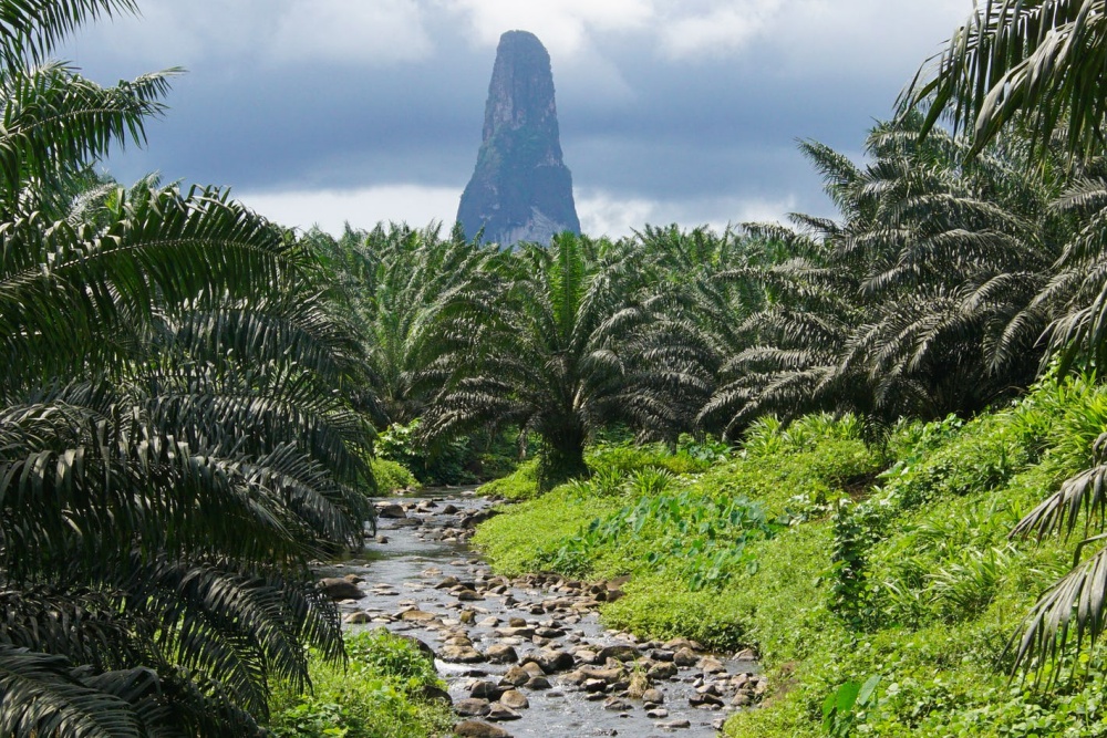 Pico Cão Grande: A torre vulcânica elevada